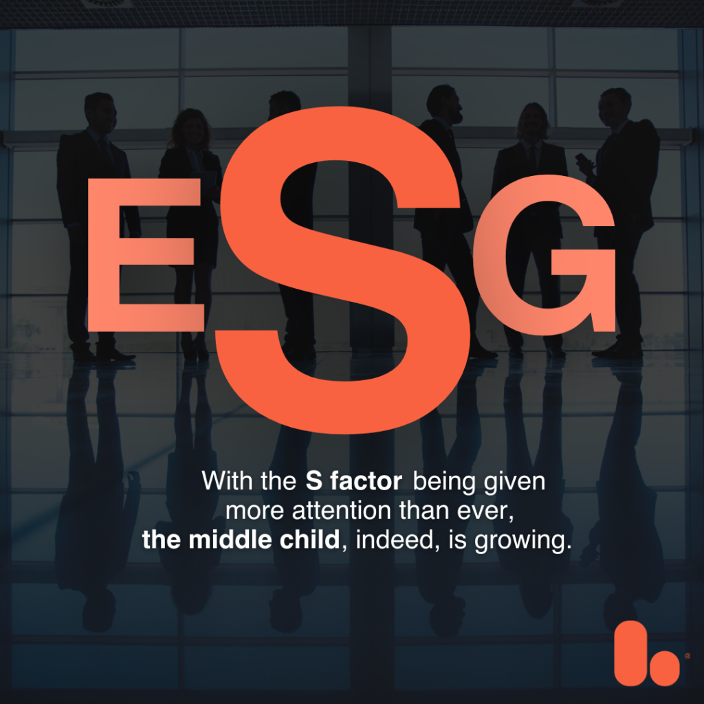 the social factor of esg