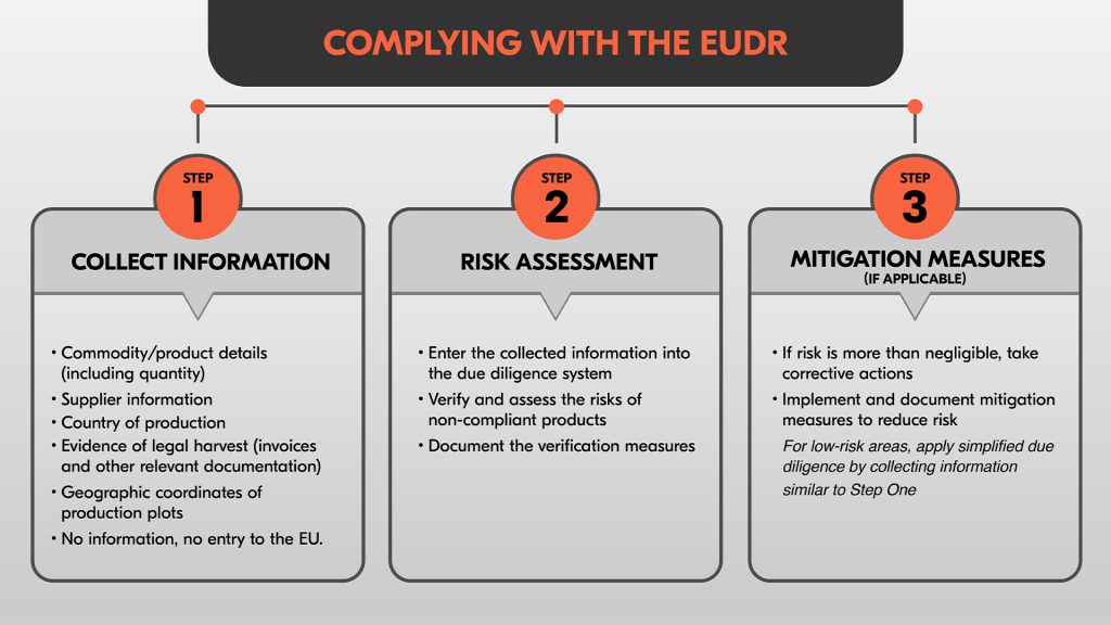 compliance timeline for eudr